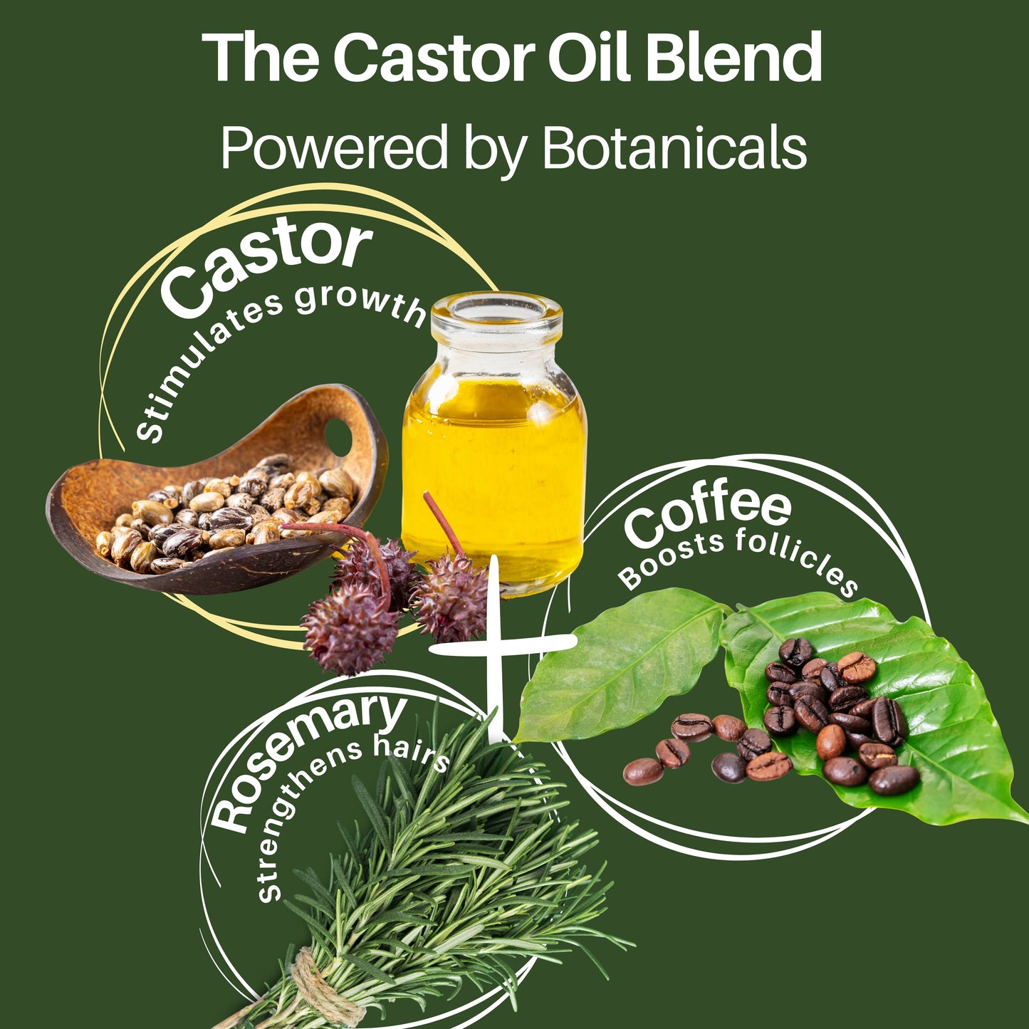 Aflora Castor Oil Botanical Stick for fuller, longer, and thicker lashes and brows.